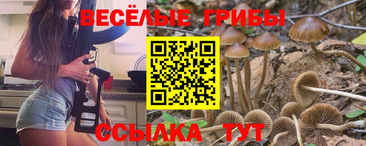 МЕФ Сегежа