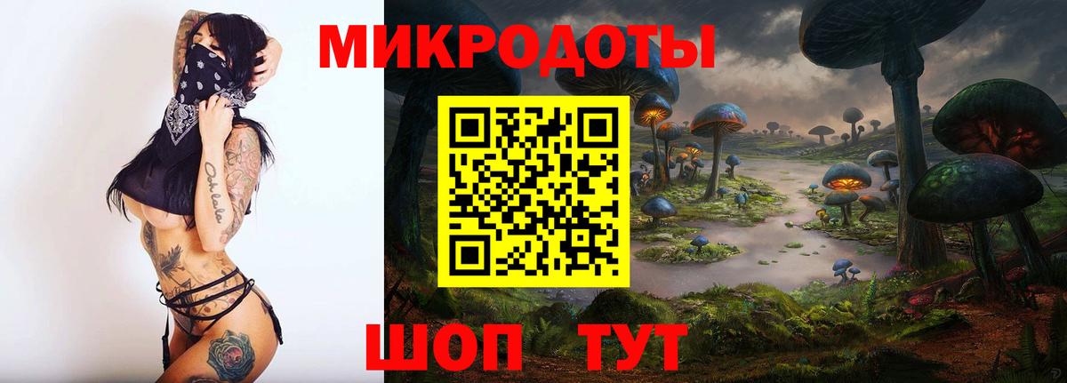Галлюциногенные грибы Psilocybine cubensis Сегежа